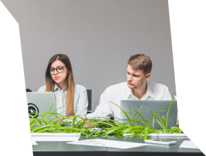 MLM Software Team Bhopal
