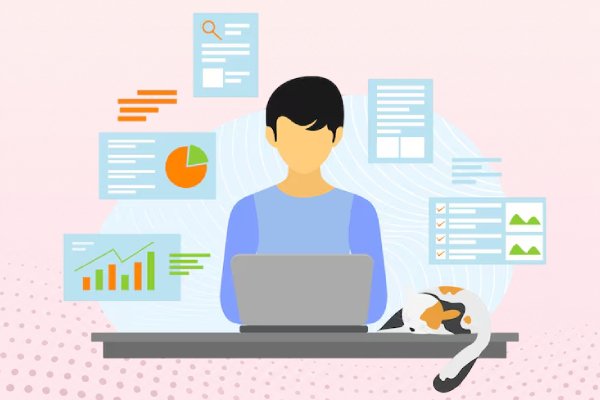 Data Entry Agent