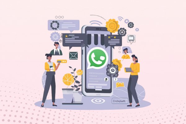 WhatsApp Verified Business Profile Setup