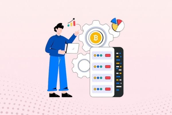Admin Panel & Transaction Monitoring