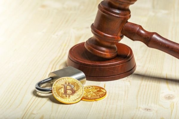 Platform & Compliance Study