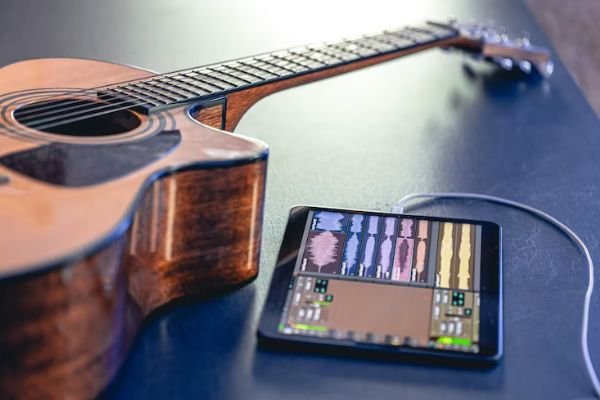 Catalog & Audience Study