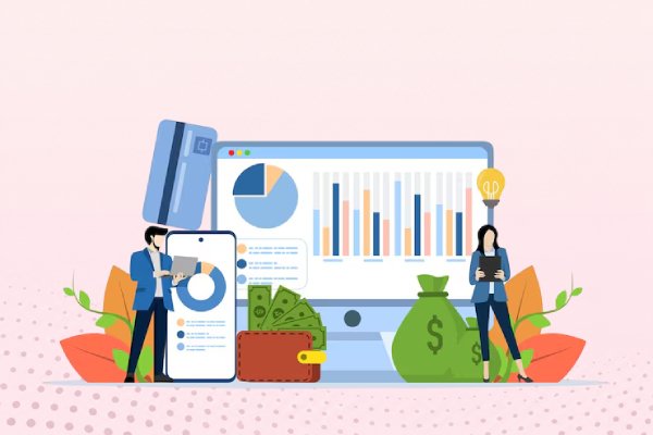 Bid & Budget Optimization