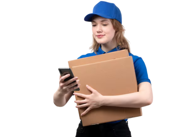 Courier Software Development Company