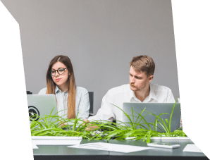 Website Design Team Member