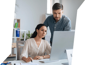 Professional Web Development Expert